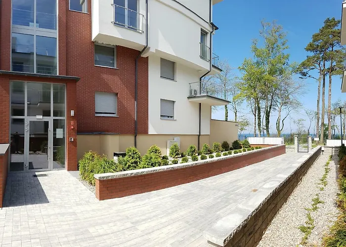 Premium Klifowa Rewal